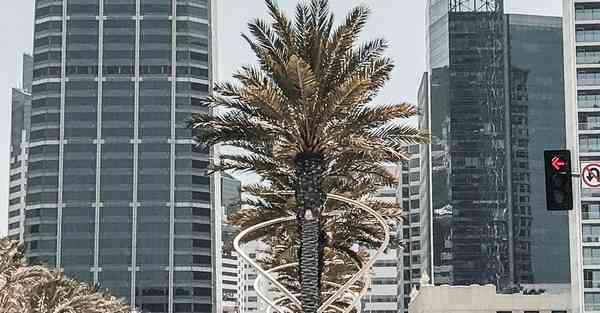 小标题一：小伶玩具人工智能食物的背景介绍