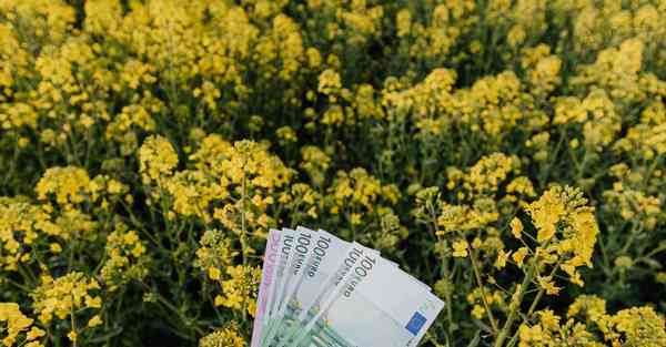 大数据监管的作用（监管大数据应用）