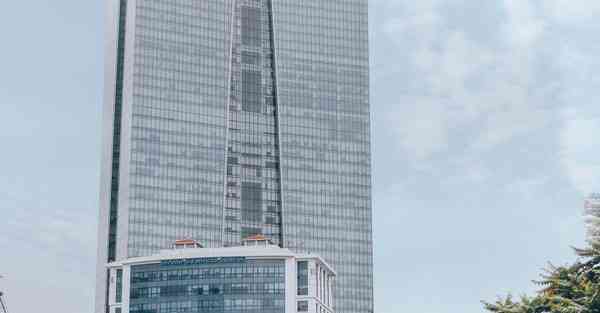 外国语单招大数据的行业文章