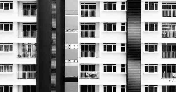 外国语单招大数据的行业文章