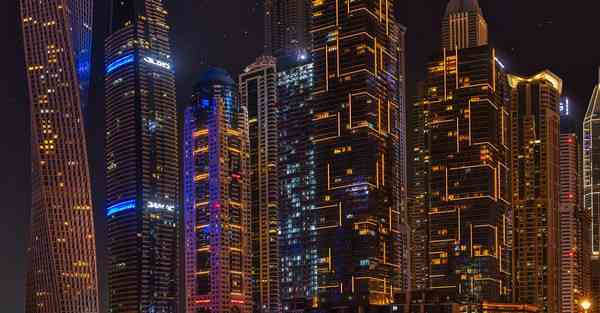 智能机器人的实例研究