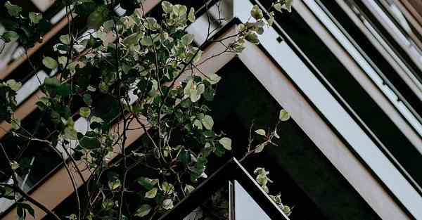 机器人导航智能