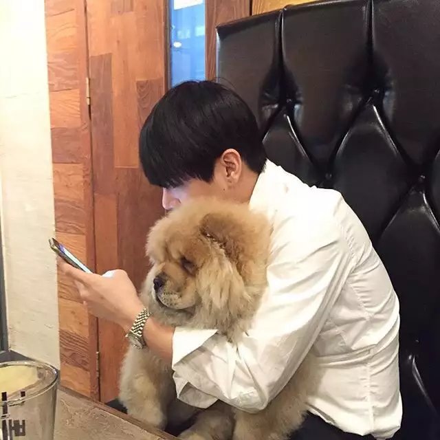 闻莺亚彪