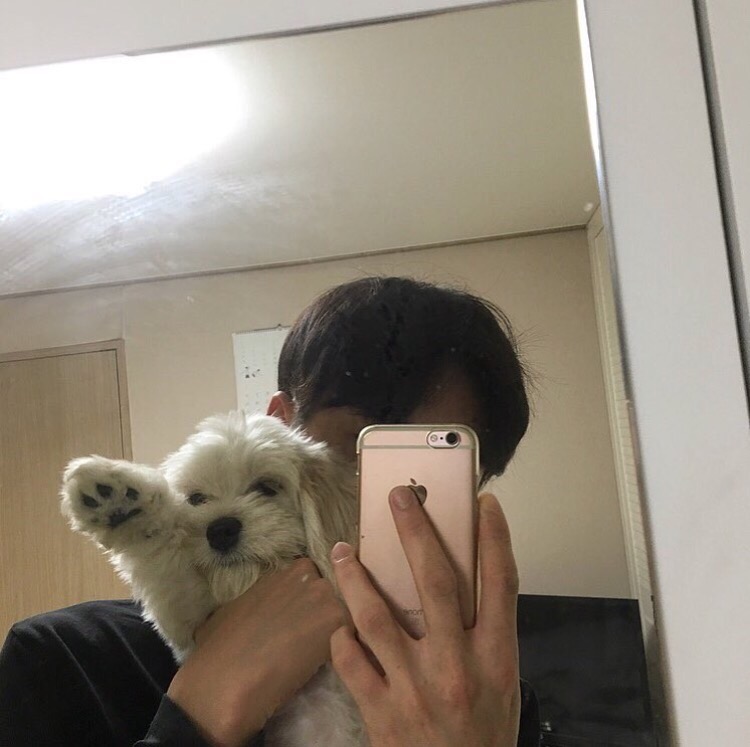 姬启先韵