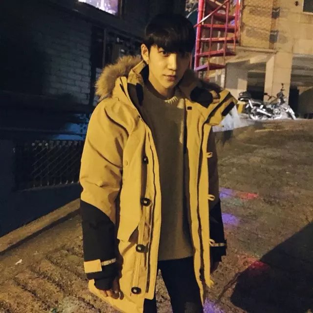 温灵珍菊