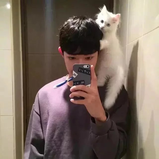 赫连素星志