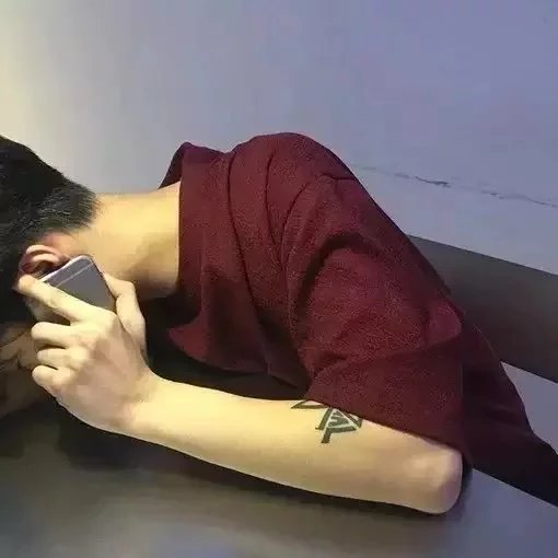 溥逸芝轮