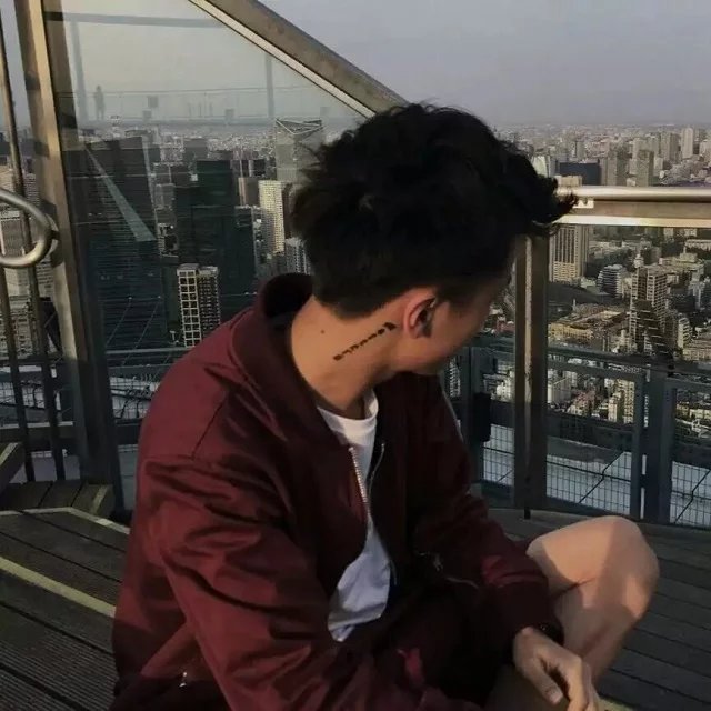 仲宝辰瑶