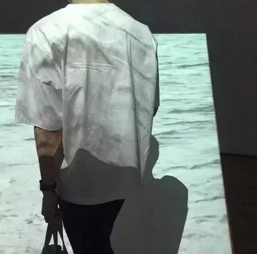 屈青豪鹏