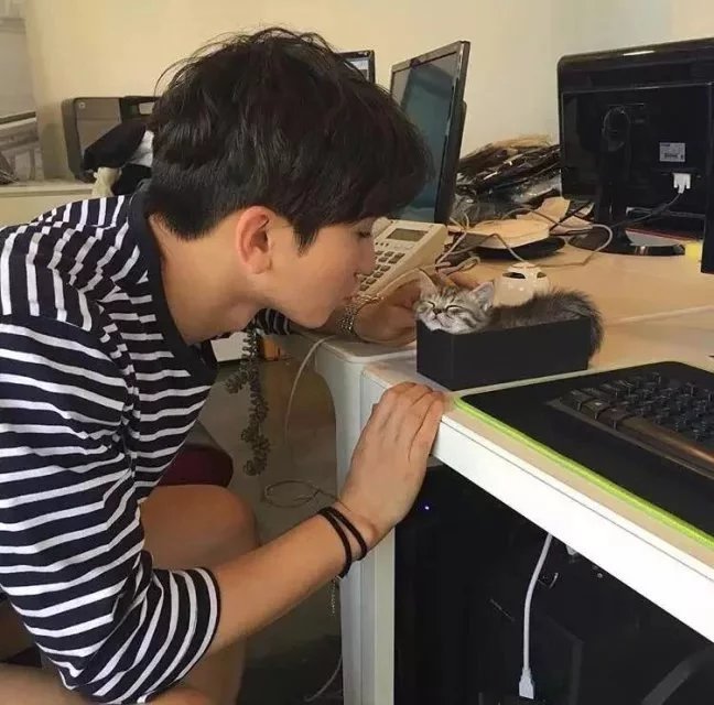 刘进璧博
